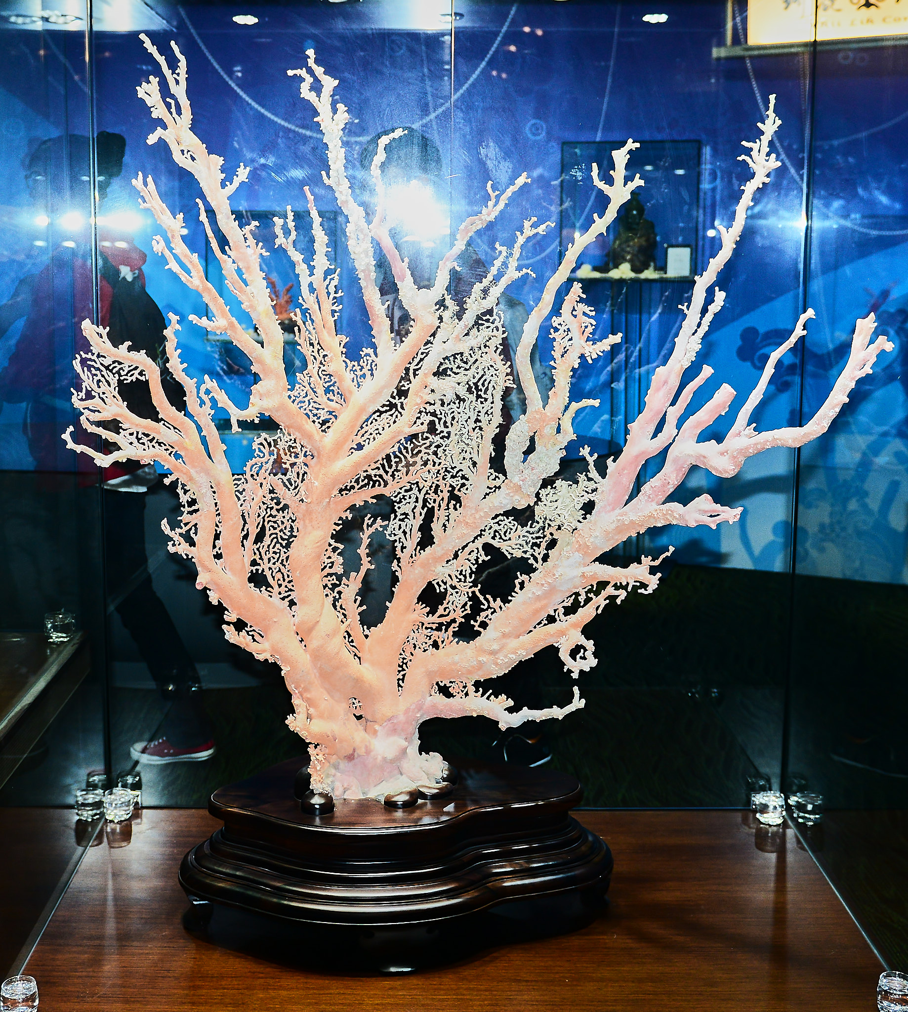 031 타이베이 101